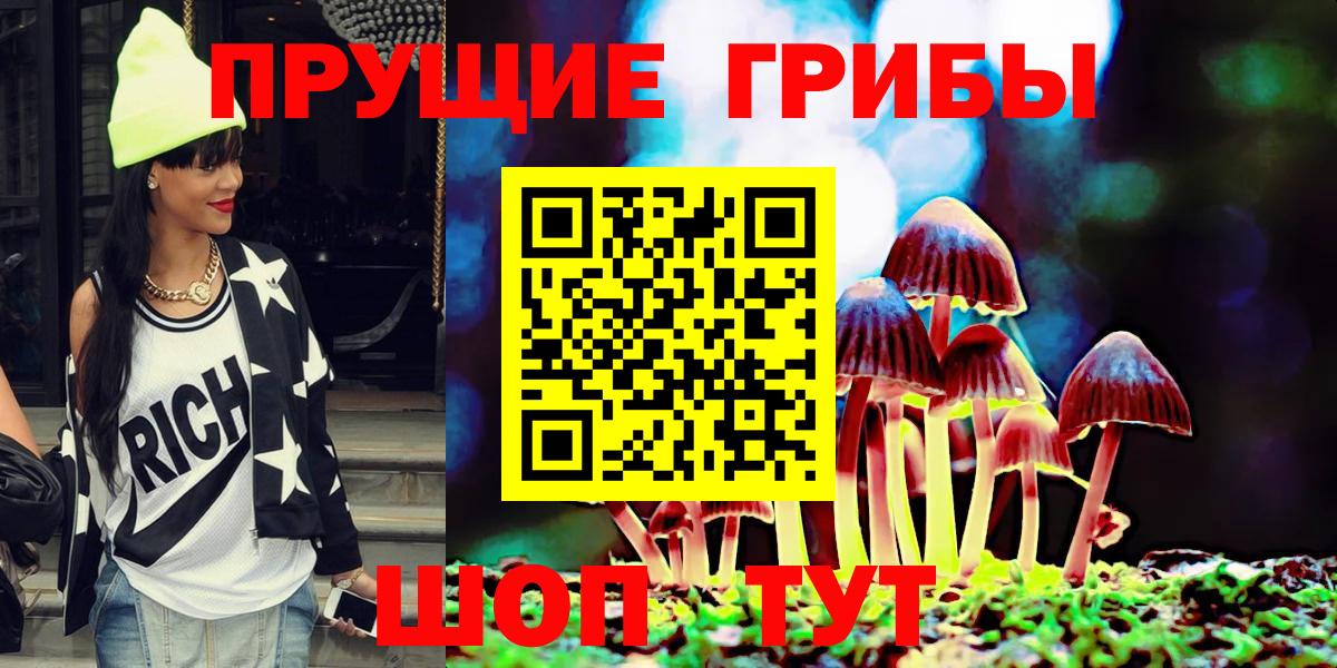 Кольчугино  Псилоцибиновые грибы мухоморы  цены наркотик  Вход с VPN 